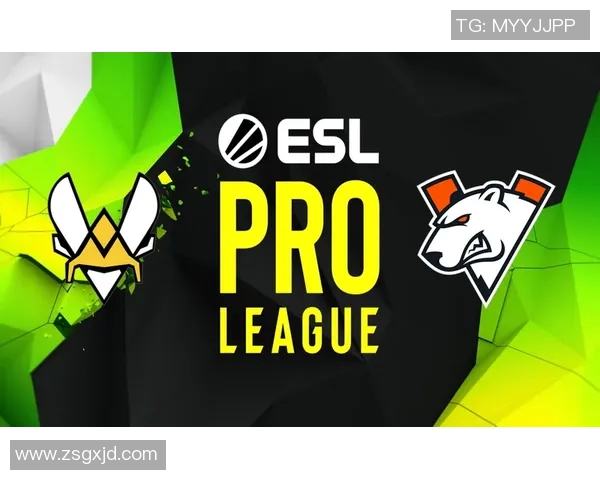 周丽在S15电竞总决赛中的CSGO人生深度对话与成长历程分享