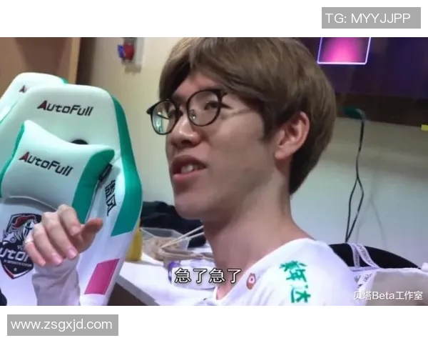 王者荣耀FPX个人能力变革引发热议分析与展望